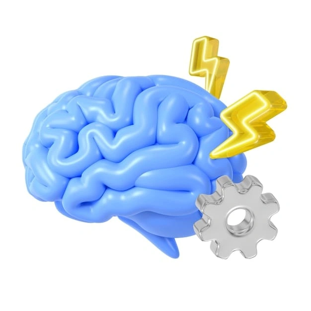 Teste neuropsicológico em Cascavel